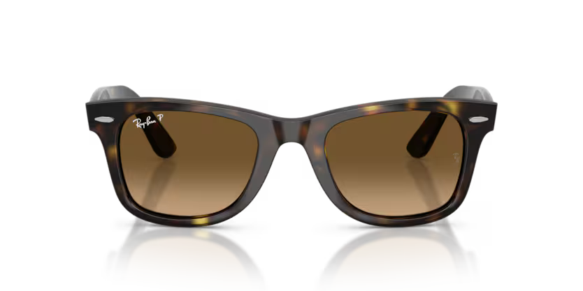 Ray-Ban | RB4340 Wayfarer | Havana Brown Gradient Polarised