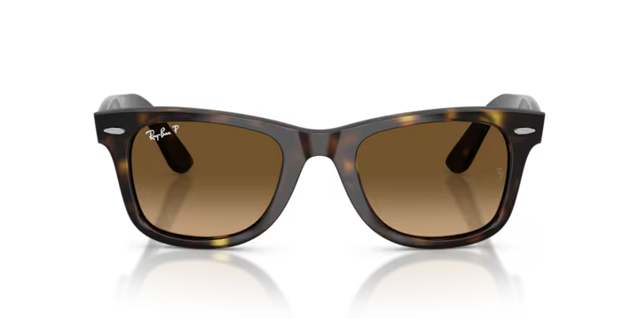Ray-Ban | RB4340 Wayfarer | Havana Brown Gradient Polarised
