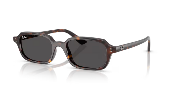 Ray-Ban | RB4455 Zuri | Havana Dark Grey