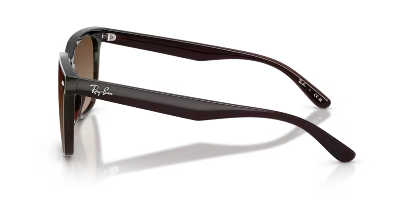 Ray-Ban | RB4466D | Transparent Dark Brown