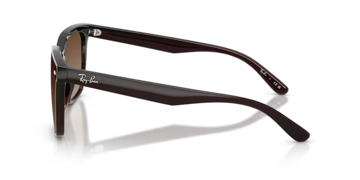 Ray-Ban | RB4466D | Transparent Dark Brown