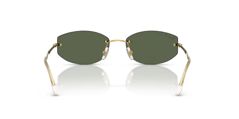 Ray-Ban | RB3792 | Arista Dark Green Polarised