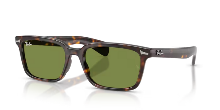 Ray-Ban | RB2234 Brunel | Havana Green