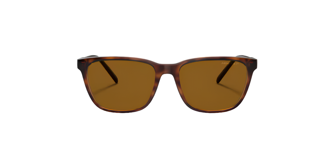 Arnette | AN4291 Cortex | Dark Havana Polarised