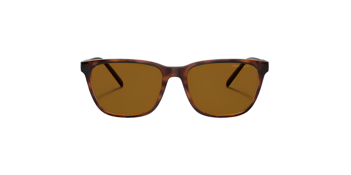 Arnette | AN4291 Cortex | Dark Havana Polarised