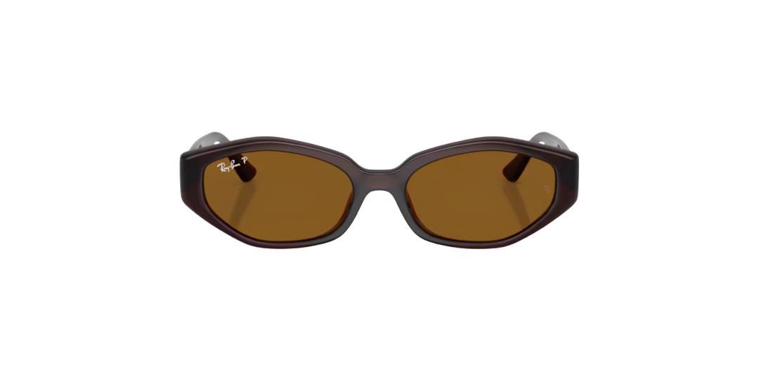 Ray-Ban | RB4473D | Dark Brown Polarised