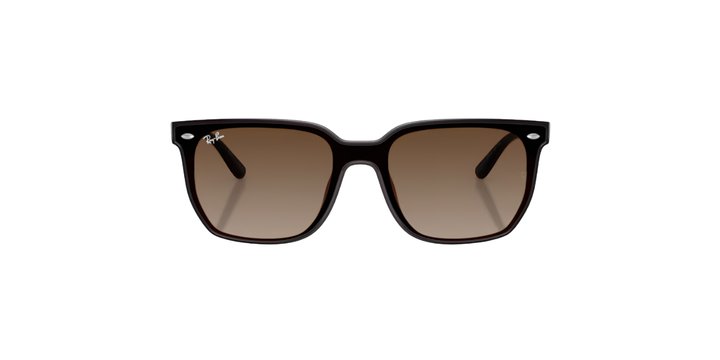 Ray-Ban | RB4466D | Transparent Dark Brown