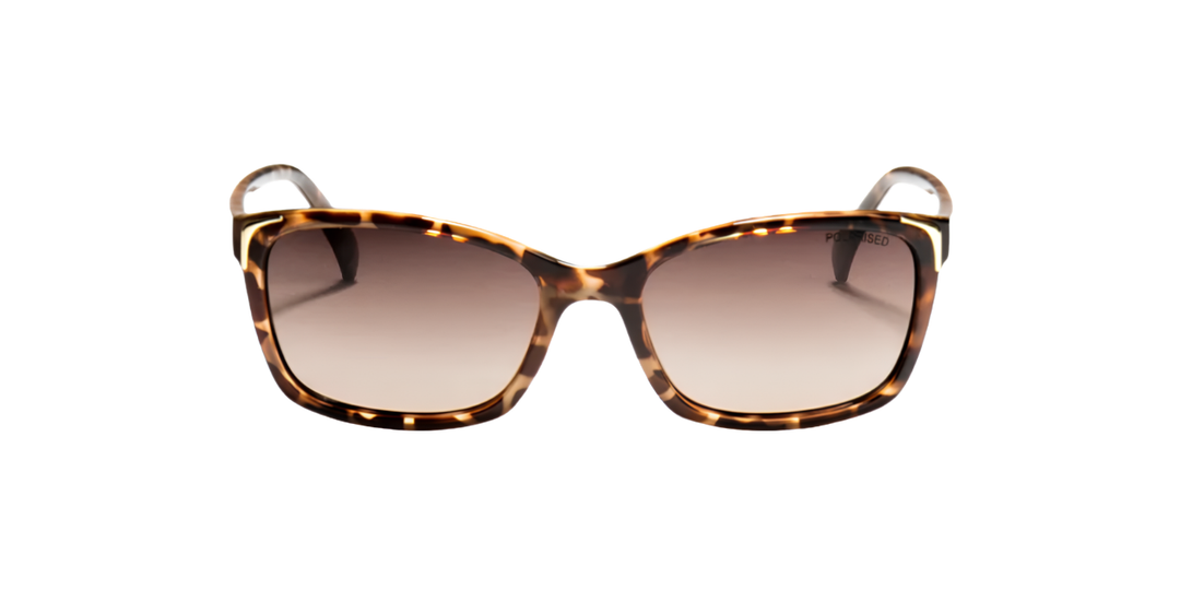 LOCELLO | Little Leticia | Tortoiseshell