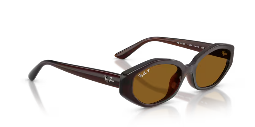 Ray-Ban | RB4473D | Dark Brown Dark Brown Polarised