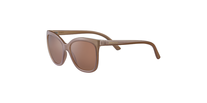 Serengeti | 8970 Agata | Shiny Espresso Polarised