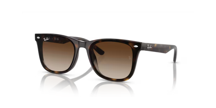 Ray-Ban | RB4420 | Havana Brown Gradient