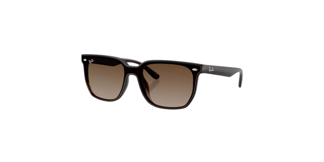 Ray-Ban | RB4466D | Transparent Dark Brown