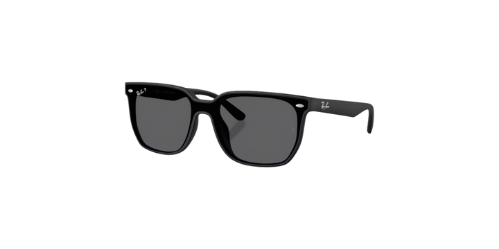 Ray-Ban | RB4466D | Matte Black Grey Polarised