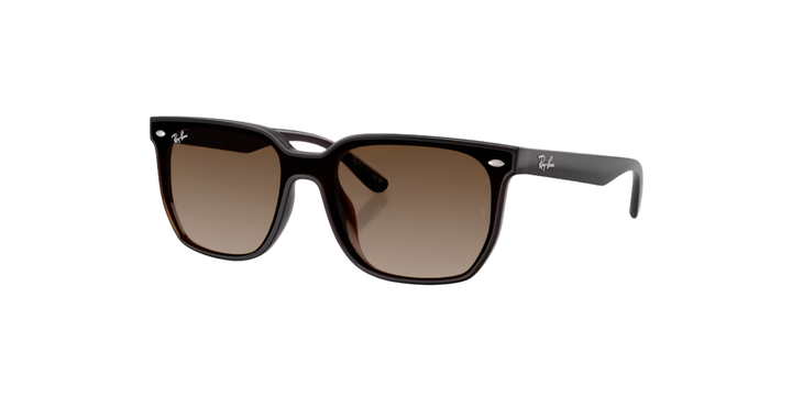 Ray-Ban | RB4466D | Transparent Dark Brown