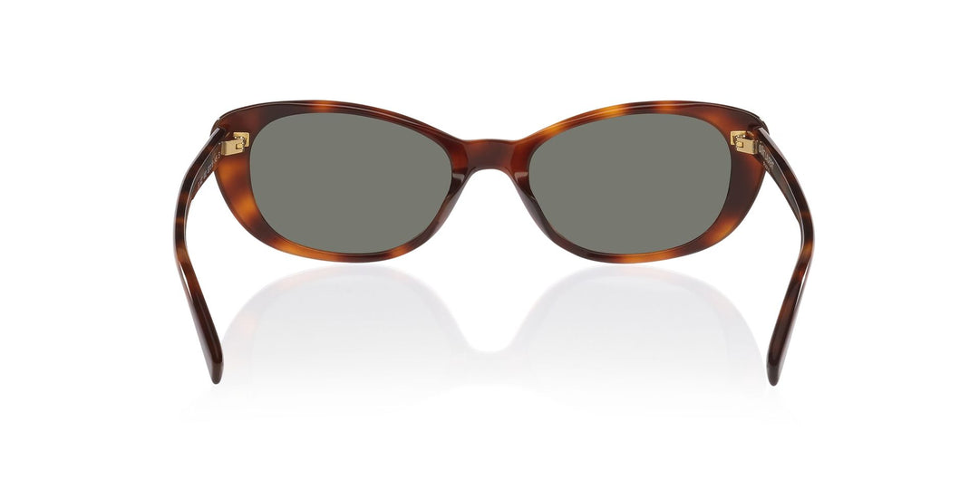 Saint Laurent | SL822 | Havana Grey