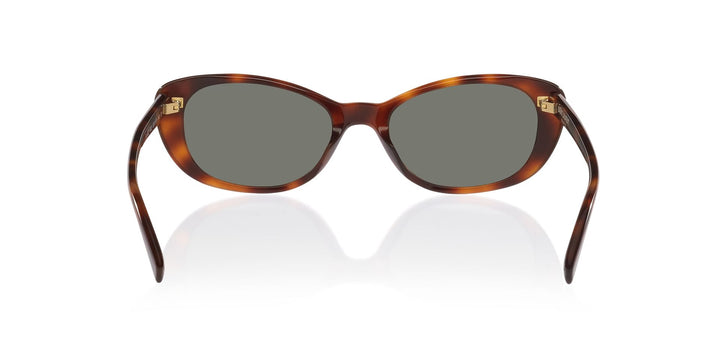 Saint Laurent | SL822 | Havana Grey