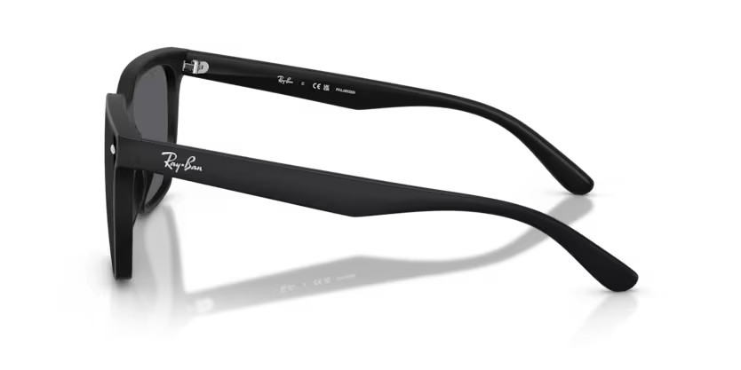 Ray-Ban | RB4466D | Matte Black Grey Polarised