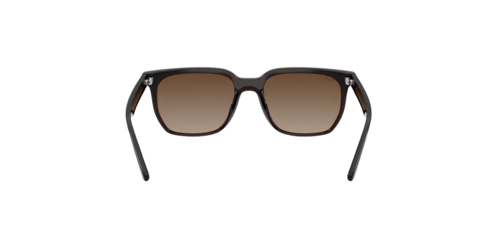 Ray-Ban | RB4466D | Transparent Dark Brown