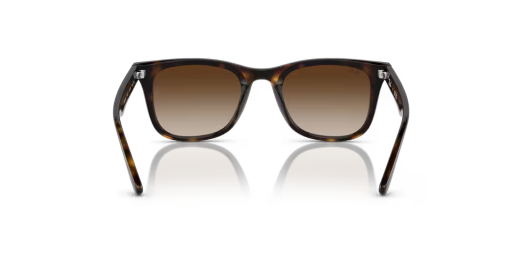 Ray-Ban | RB4420 | Havana Brown Gradient