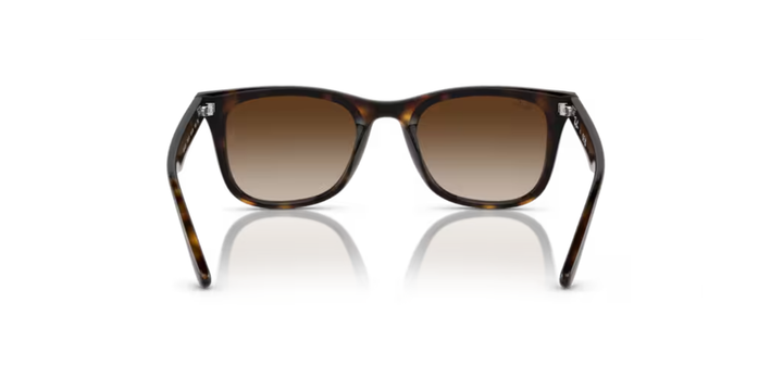 Ray-Ban | RB4420 | Havana Brown Gradient