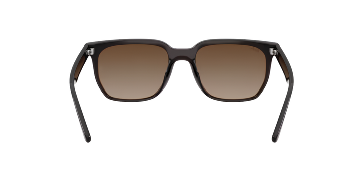 Ray-Ban | RB4466D | Transparent Dark Brown