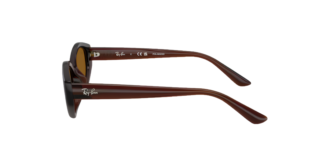 Ray-Ban | RB4473D | Dark Brown Dark Brown Polarised