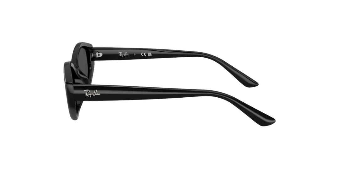 Ray-Ban | RB4473D | Black Dark Grey
