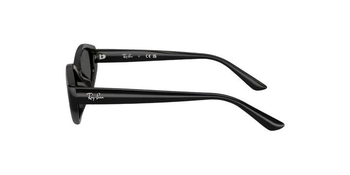 Ray-Ban | RB4473D | Black Dark Grey