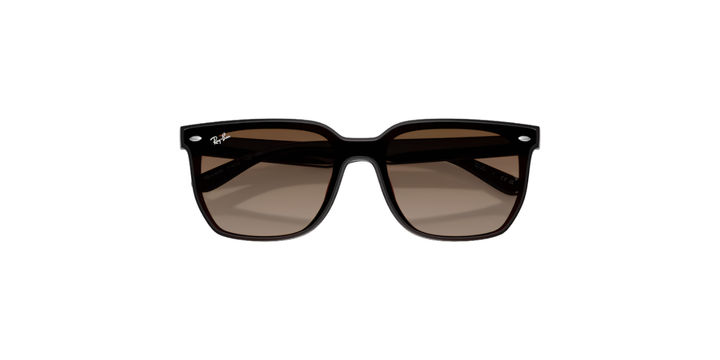 Ray-Ban | RB4466D | Transparent Dark Brown