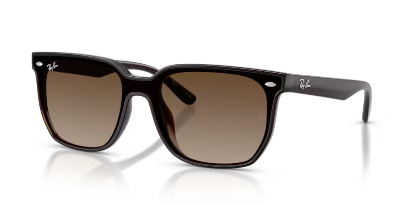 Ray-Ban | RB4466D | Transparent Dark Brown