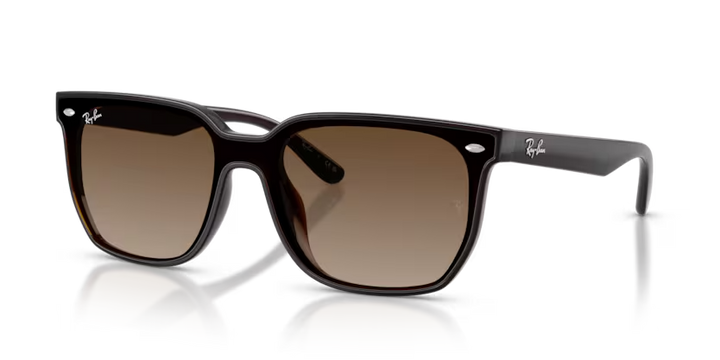 Ray-Ban | RB4466D | Transparent Dark Brown