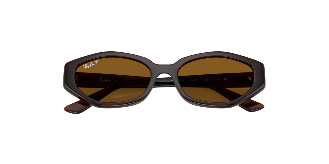 Ray-Ban | RB4473D | Dark Brown Dark Brown Polarised