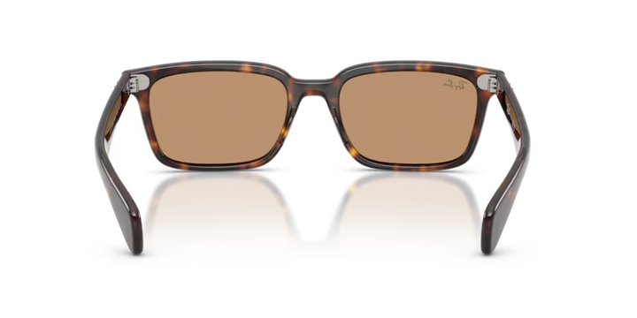 Ray-Ban | RB2234 Brunel | Havana