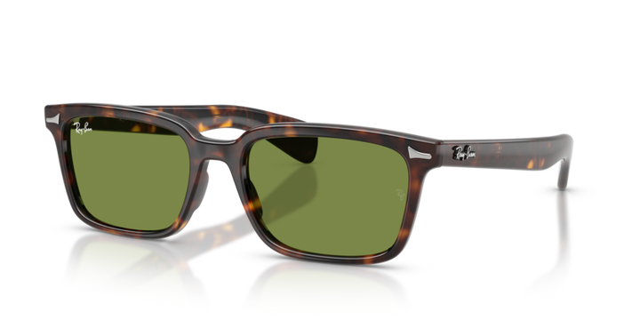 Ray-Ban | RB2234 Brunel L | Havana Green
