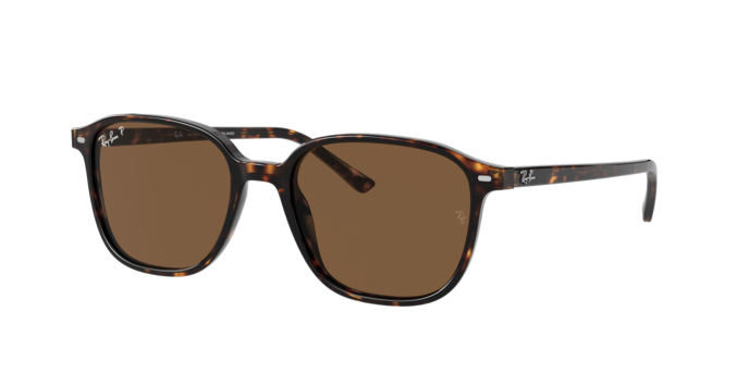 Ray-Ban | RB2193 Leonard M | Tortoise Brown Polarised