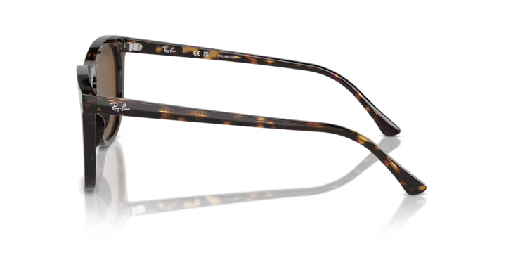 Ray-Ban | RB2210F | Havana Brown Polarised