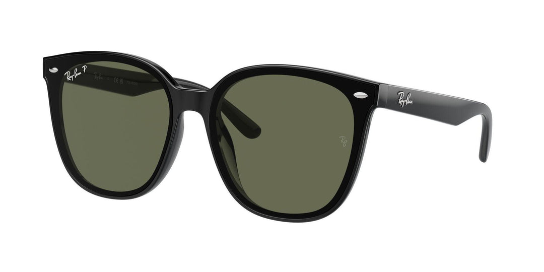 Ray-Ban | RB4423D | Black Dark Green Polarised