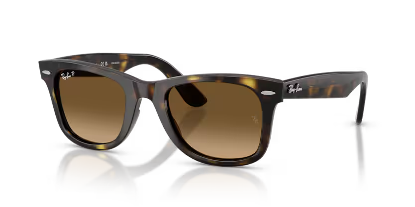 Ray-Ban | RB4340 Wayfarer | Havana Brown Gradient Polarised