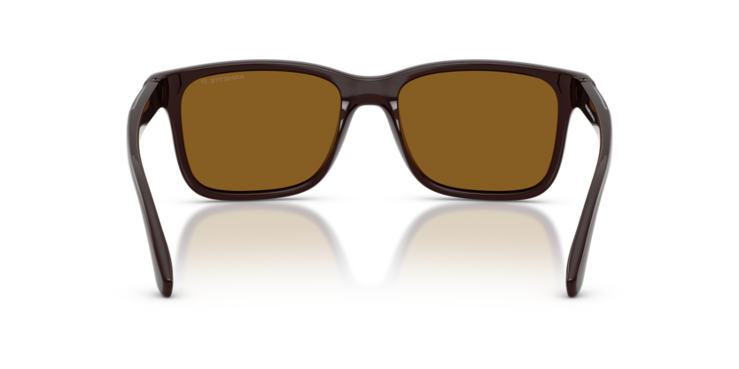 Arnette | AN4378 | Chocolate Dark Brown