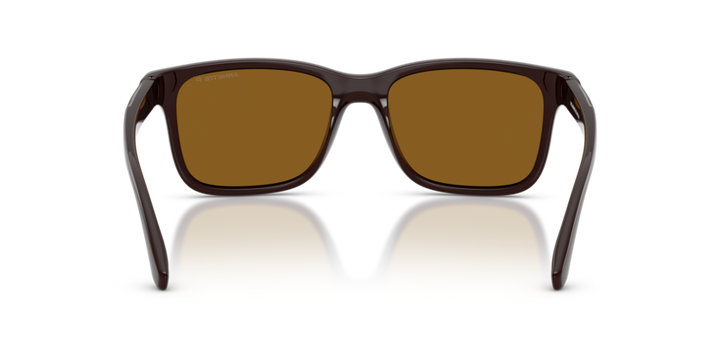Arnette | AN4378 | Chocolate Dark Brown