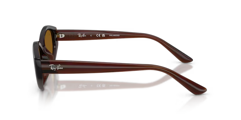 Ray-Ban | RB4473D | Dark Brown Dark Brown Polarised