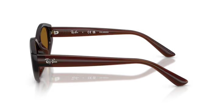 Ray-Ban | RB4473D | Dark Brown Dark Brown Polarised