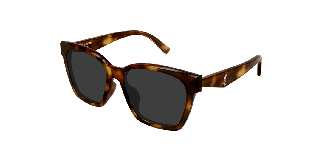 Saint Laurent | SLM171F | Havana