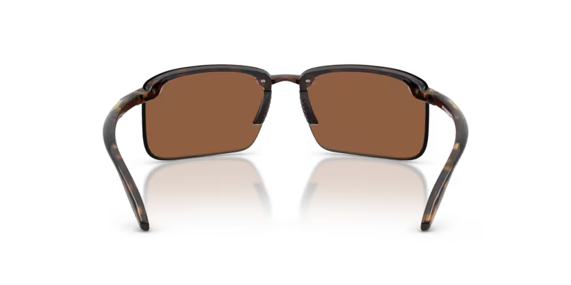 Arnette | AN4383 | Havana