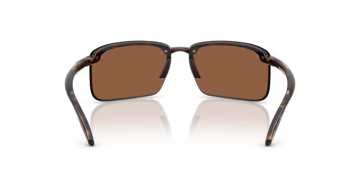 Arnette | AN4383 | Havana