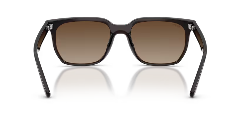 Ray-Ban | RB4466D | Transparent Dark Brown
