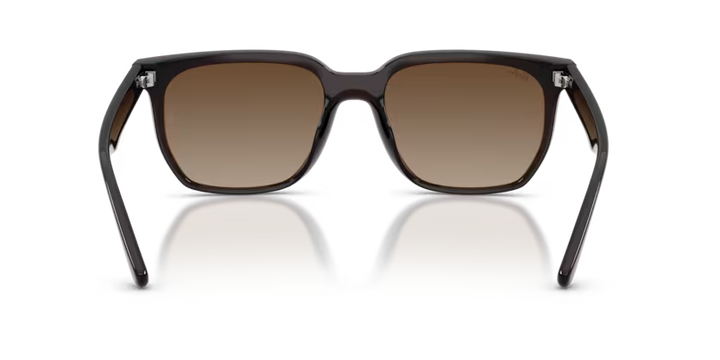 Ray-Ban | RB4466D | Transparent Dark Brown