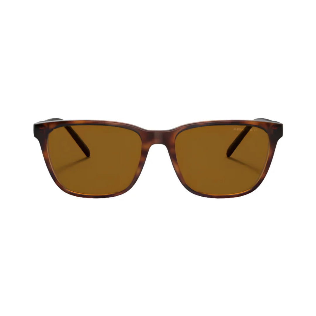 Arnette | AN4291 Cortex | Dark Havana Polarised