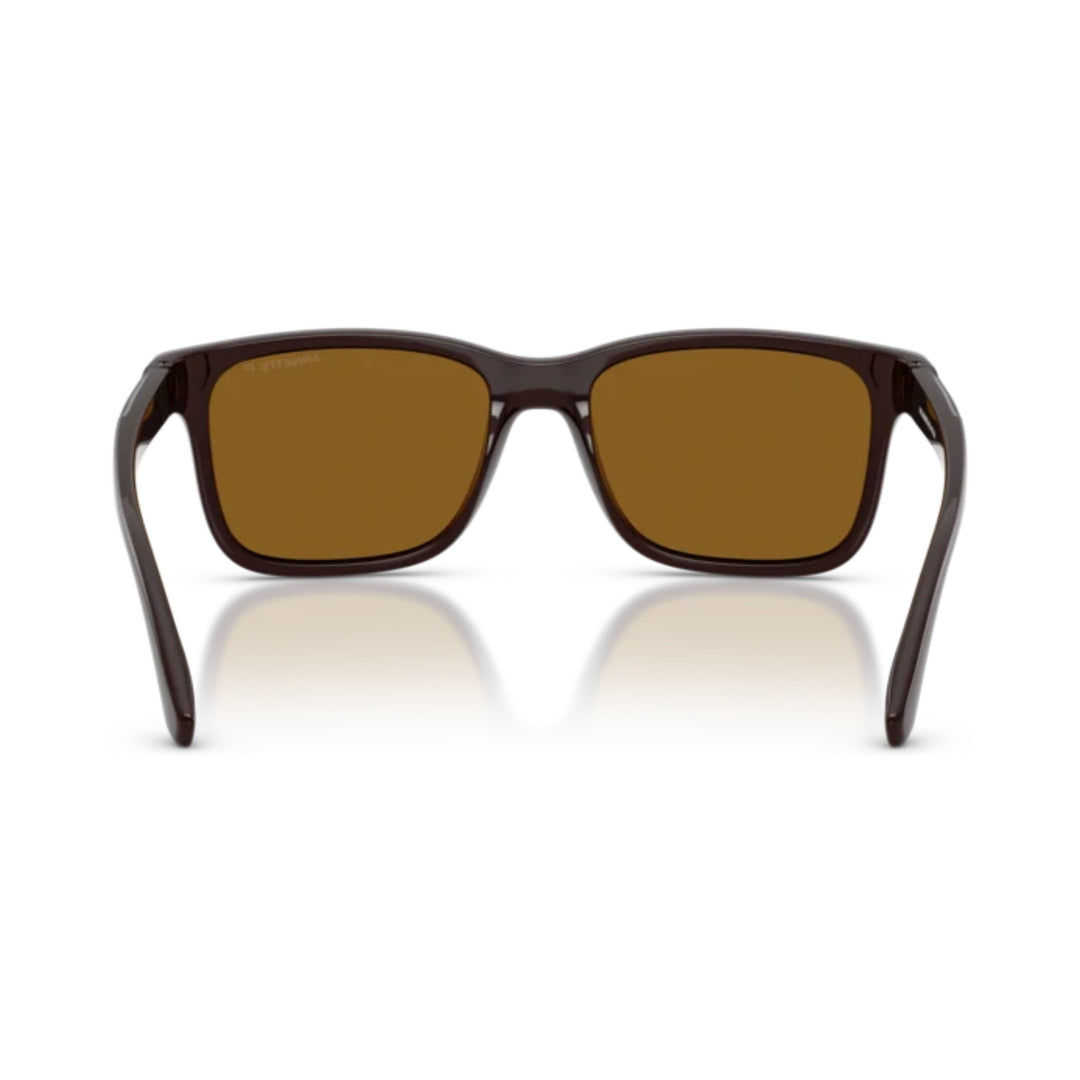 Arnette | AN4378 | Chocolate Dark Brown