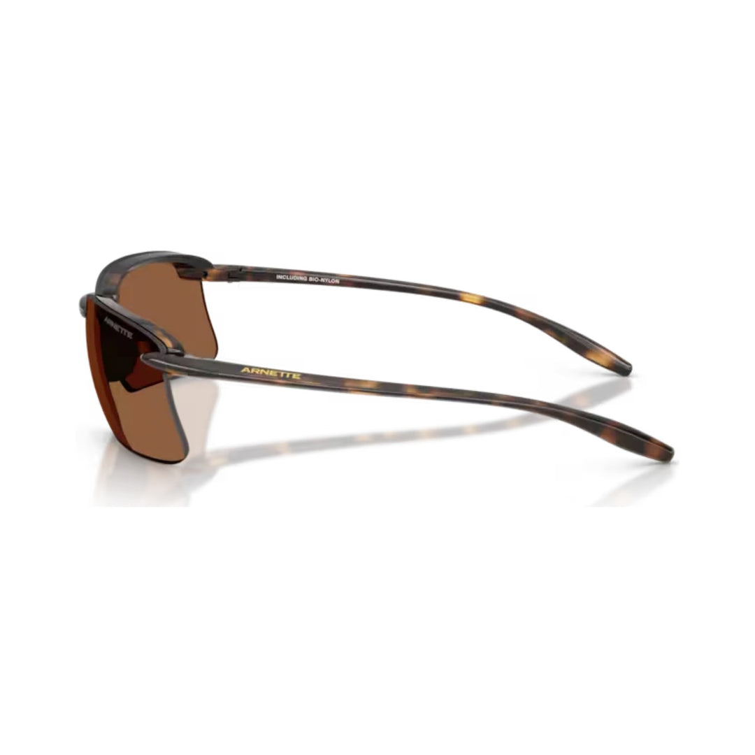 Arnette | AN4383 | Havana